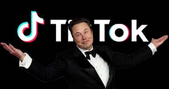 TikTok și posibila vânzare către Elon Musk: Discuții preliminare