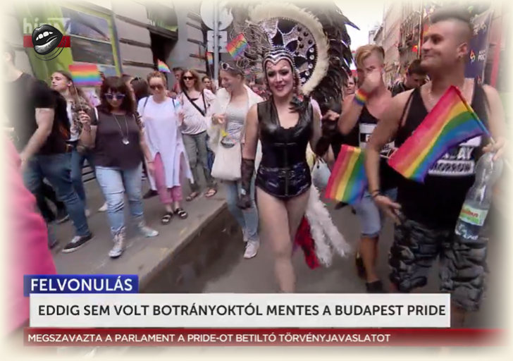 Europarlamentar român, în fruntea unei delegații care sfidează legea ungară: Participare sfidătoare la un marș LGBT interzis de autorități